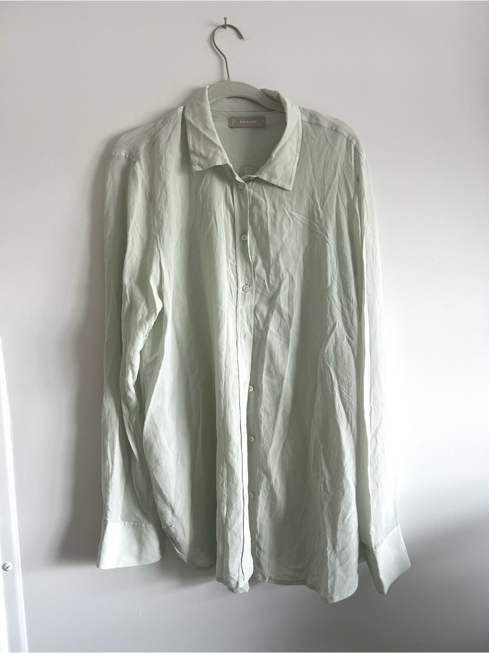 Everlane Pale Mint Button-Up Shirt